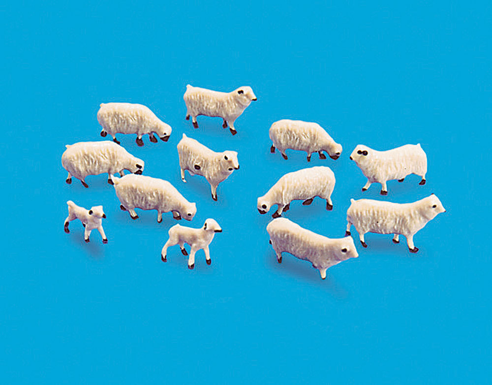 00 gauge sheep